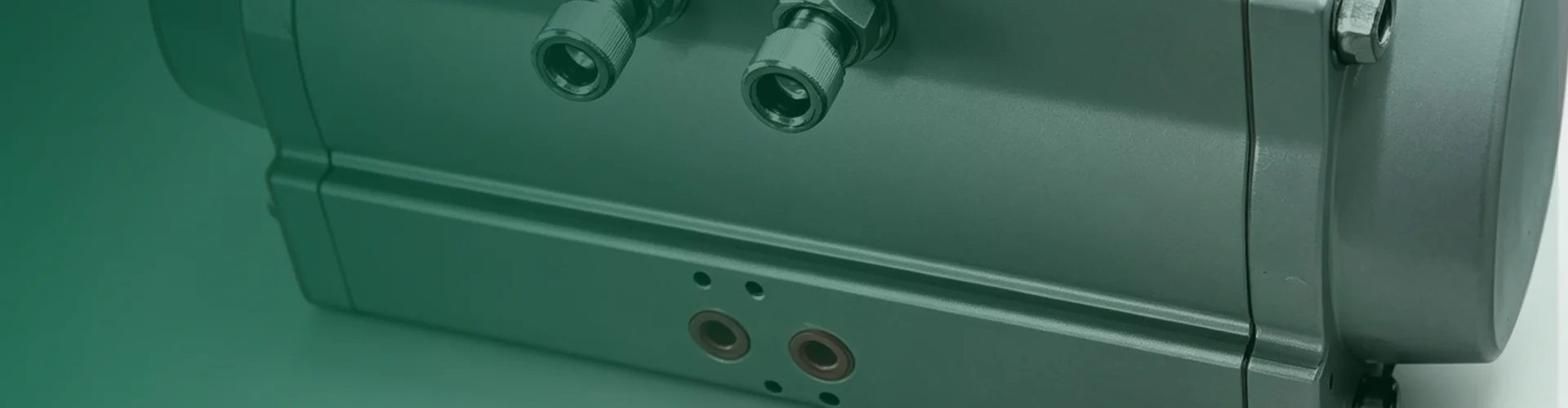 Pneumatic Gate Valves